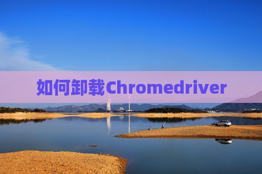 如何卸载Chromedriver